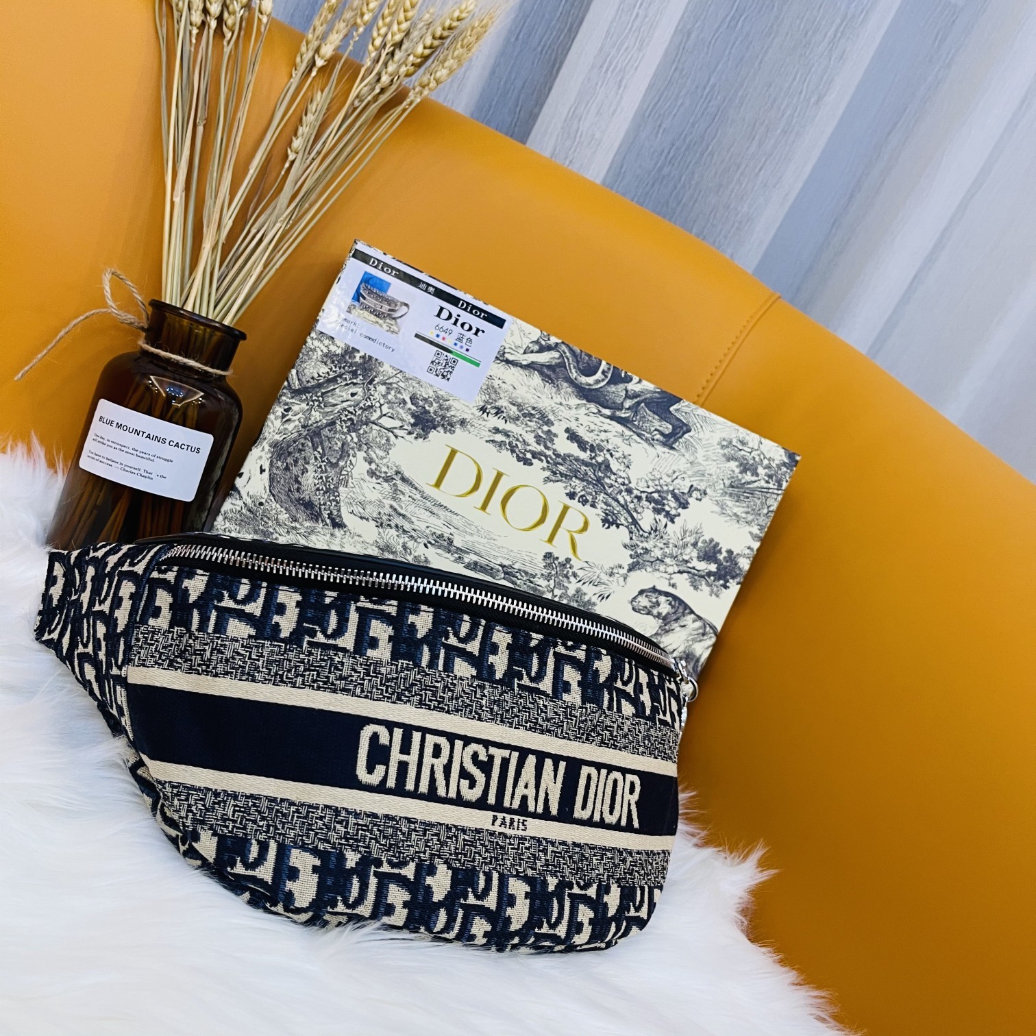 DIOR BAG