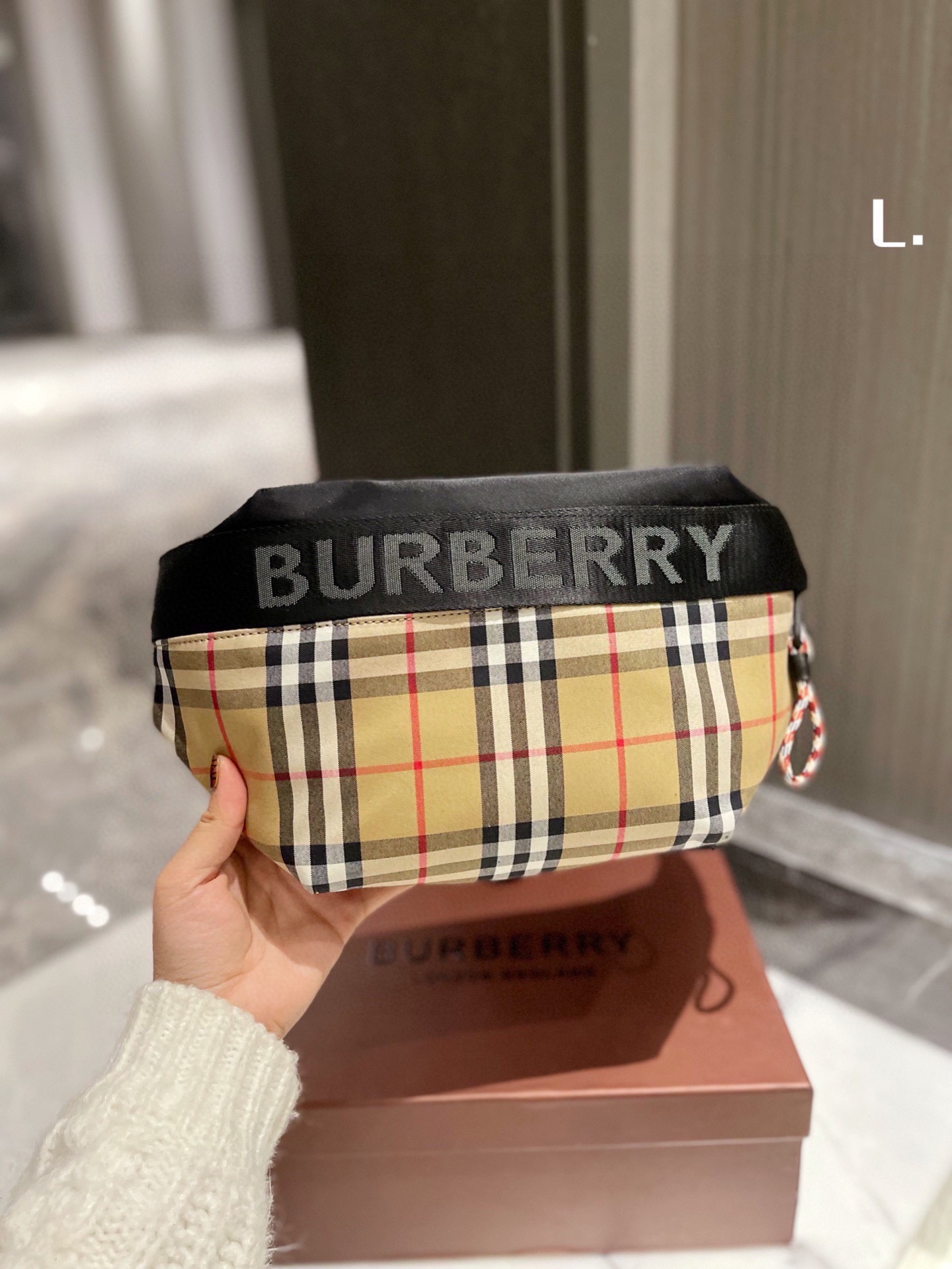 BURBERRY BAG